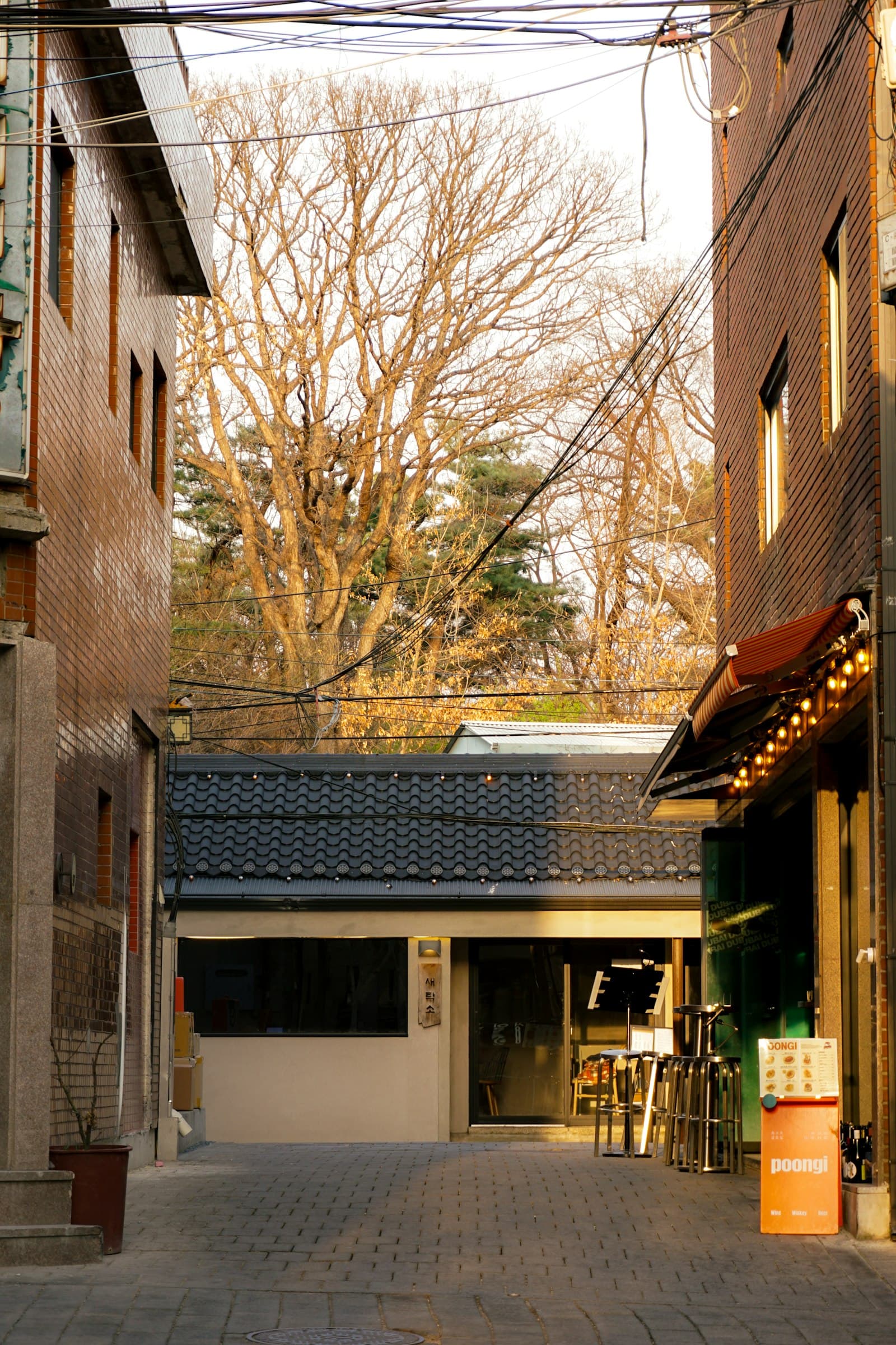 A narrow lane of low brick shopfronts in Seoul, lit low and warm at the end of the afternoon.